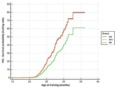 Reproductive Performance and Culling Rate of Purebred Holstein Cows and Their Crosses With Fleckvieh and Brown Swiss Cows Under Subtropical Conditions